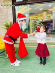 Merry Christmas 2024 - Ghi dấu mùa Giáng sinh an lành Hoa Trạng Nguyên